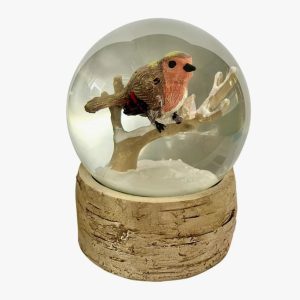 Robin snow globe