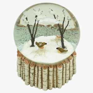 Snow globe adult